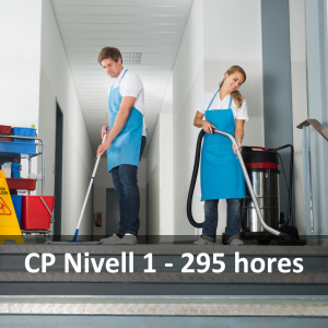 SEFOR_Drecera_FOAP_Domicilis_26_2