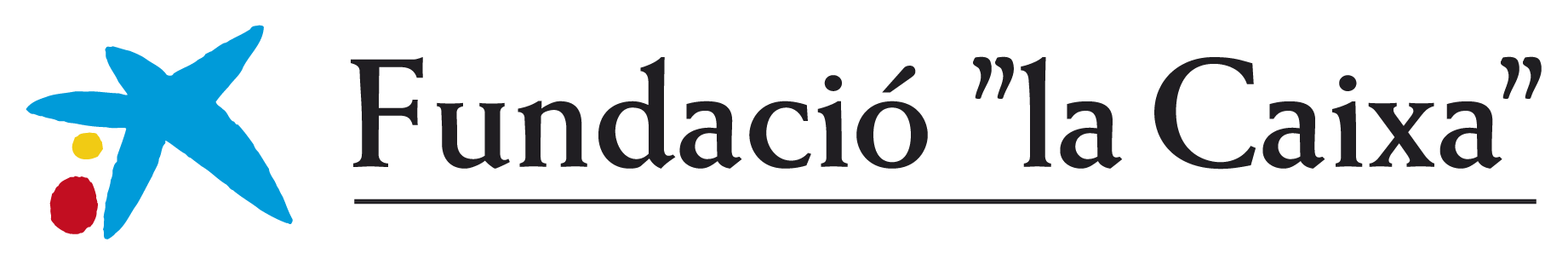 LogoFundacióLaCaixa2026